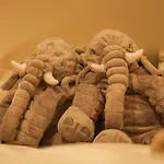 Гостьовий будинок Buffalo Шпіндлерув-Млин