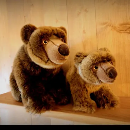 Buffalo Guest house Spindleruv Mlyn