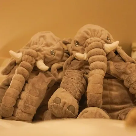 Guest house Buffalo Spindleruv Mlyn