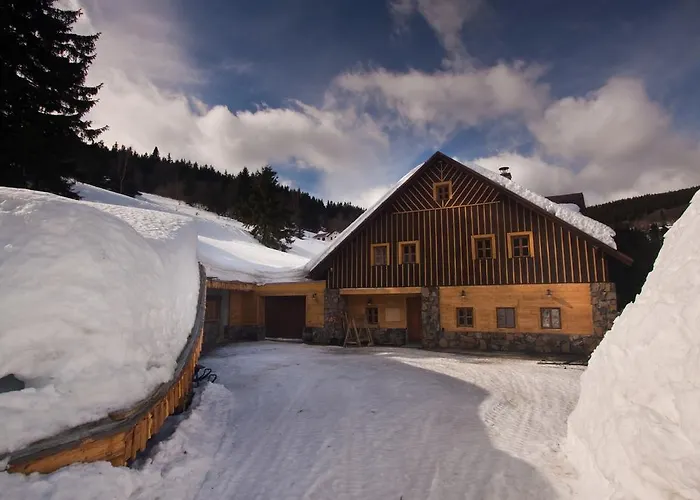 Pensionat Buffalo 4*